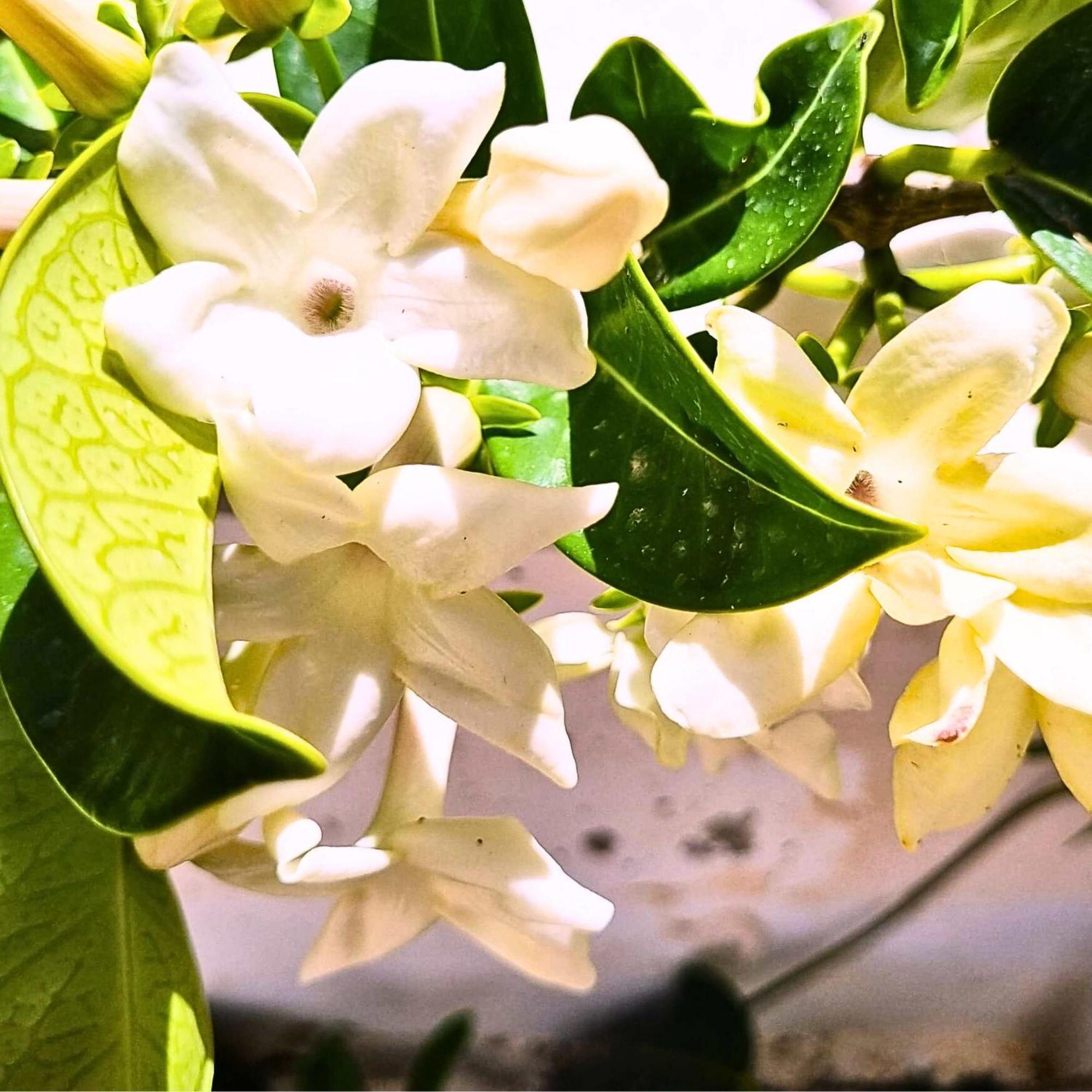 Infinity Wellness Boutique Hotel Afráta エクステリア 写真